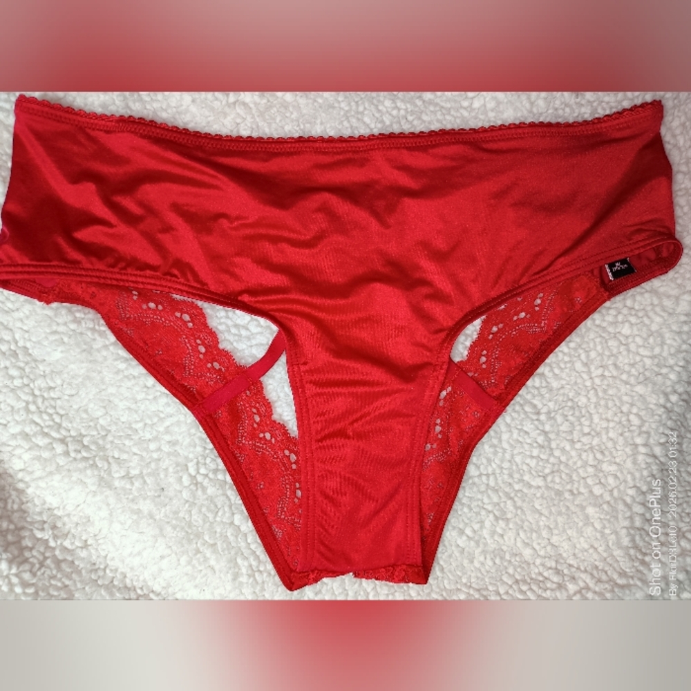 Victoria's Secret Scarlet Lace Panties